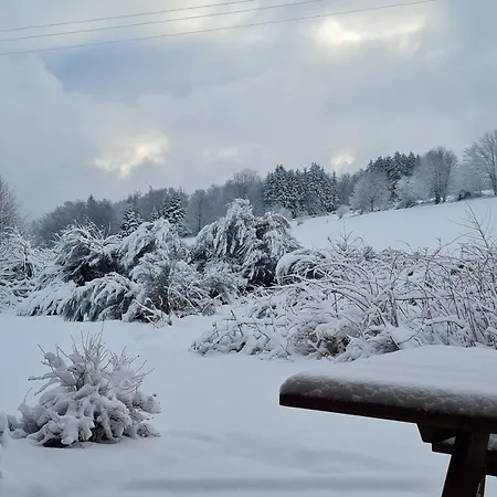 Hébergement de vacances Nature Avec Sauna Et Wifi Près Gérardmer - Fr-1-589-777 Anould
