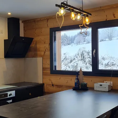 Nature Avec Sauna Et Wifi Pres Gerardmer - Fr-1-589-777 Prázdninový dům