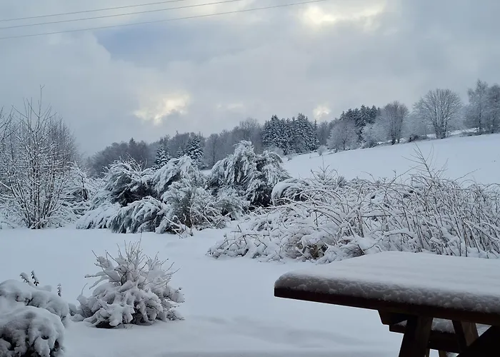 Prázdninový dům Nature Avec Sauna Et Wifi Pres Gerardmer - Fr-1-589-777 Anould